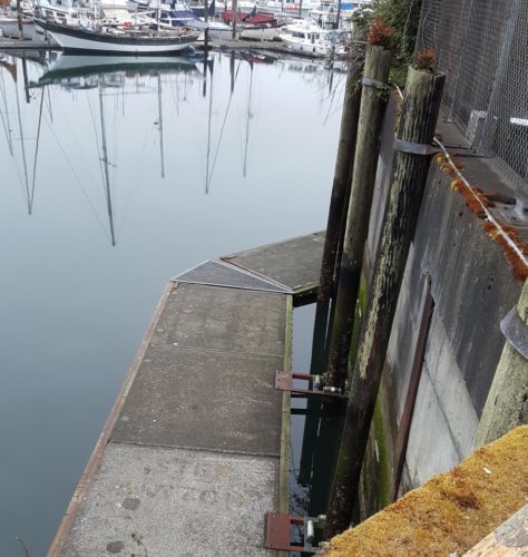 seawall inspection 4